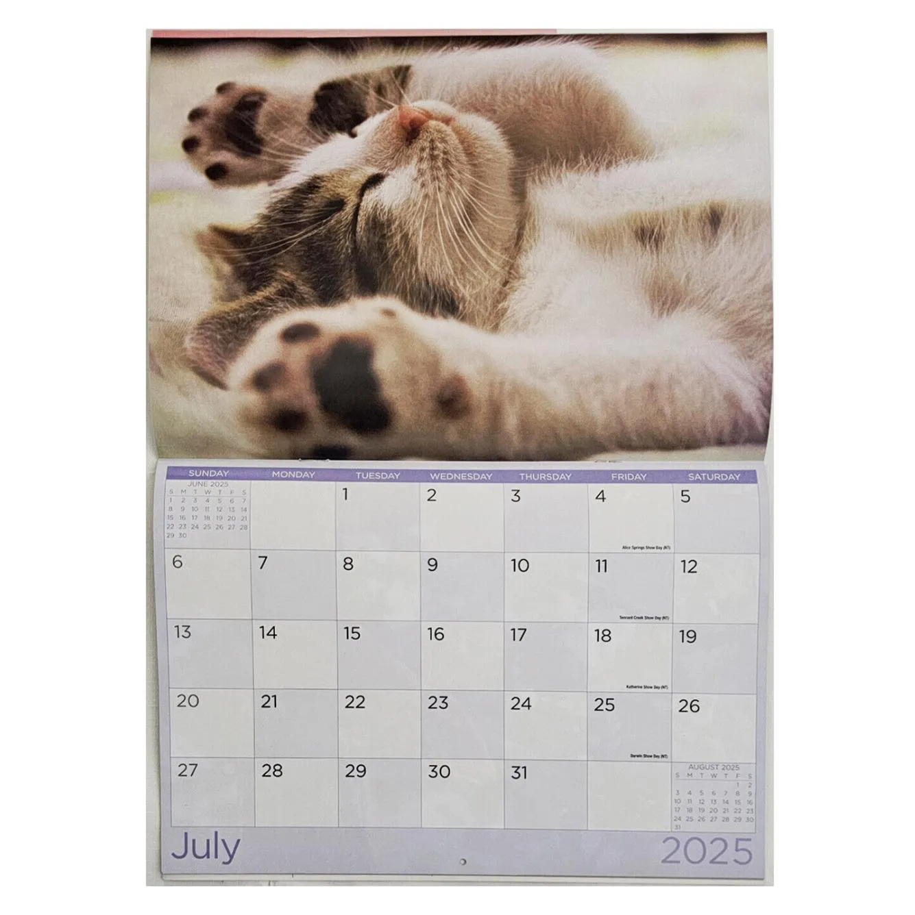 2025 Wall Calendar