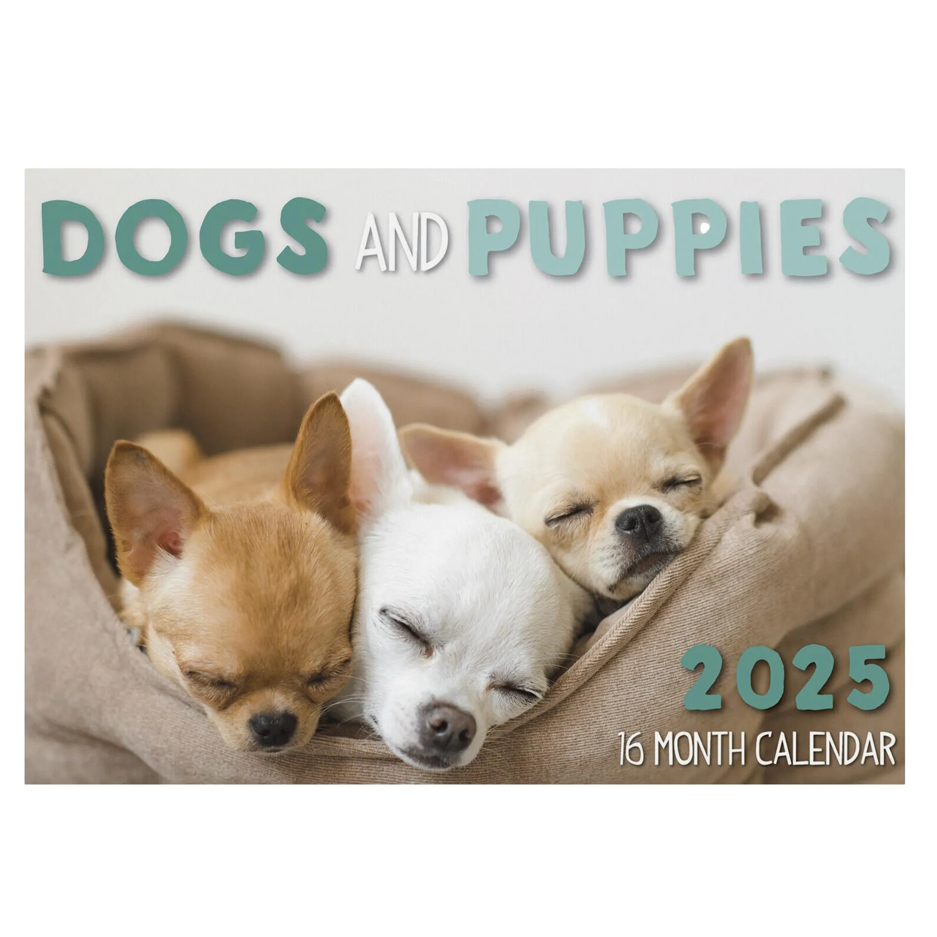 2025 Wall Calendar