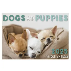 2025 Wall Calendar