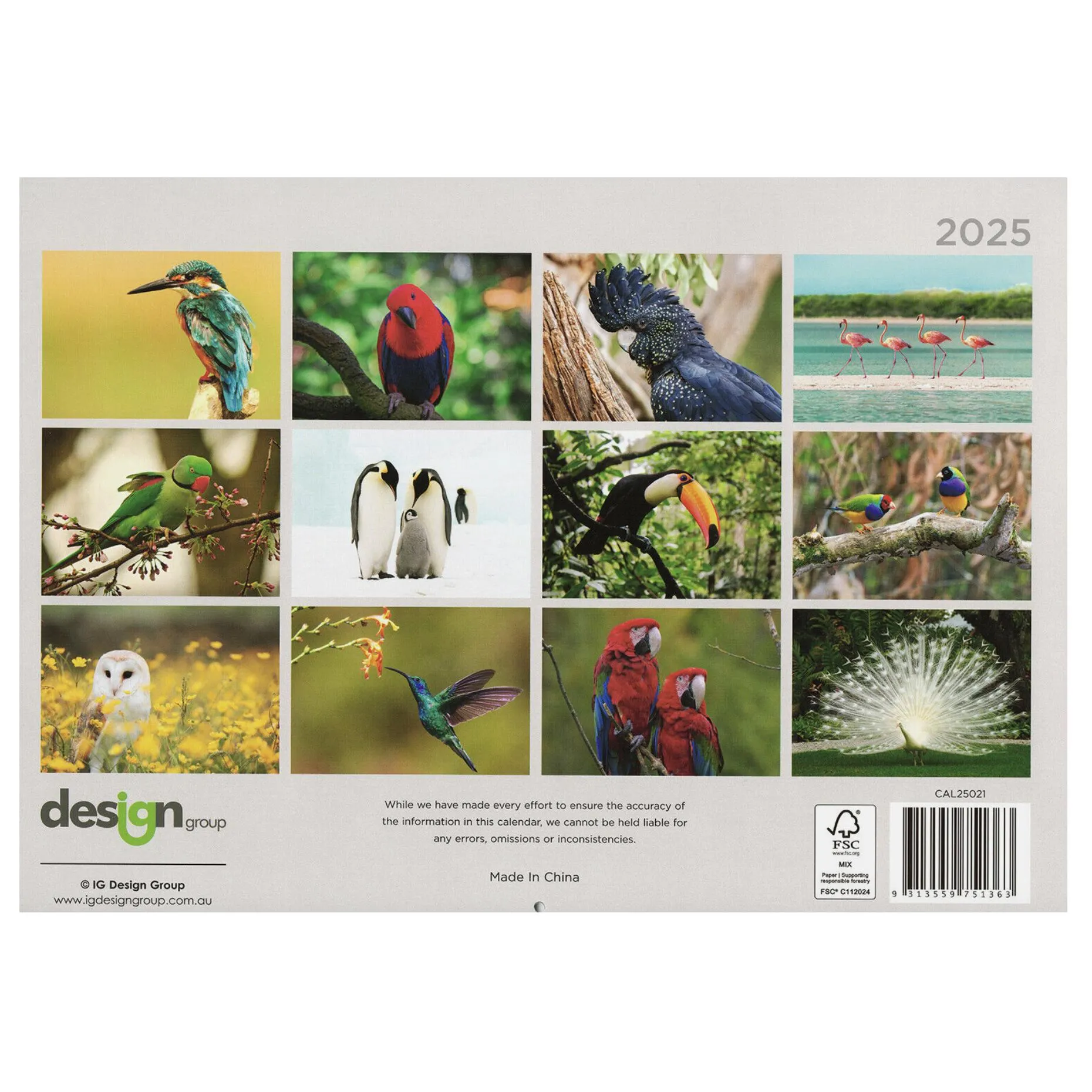 2025 Wall Calendar