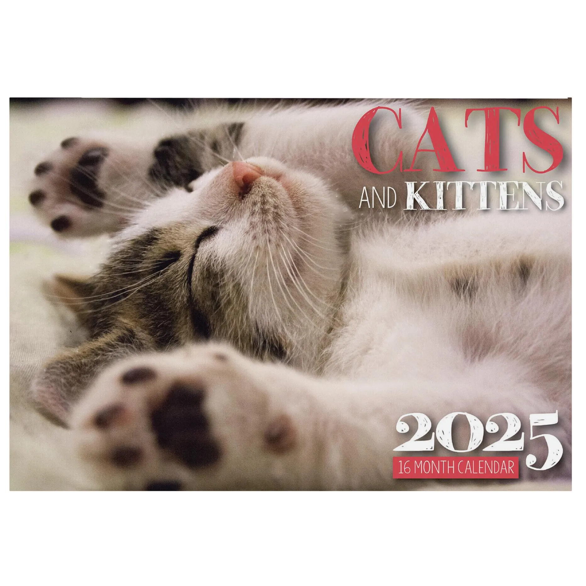 2025 Wall Calendar