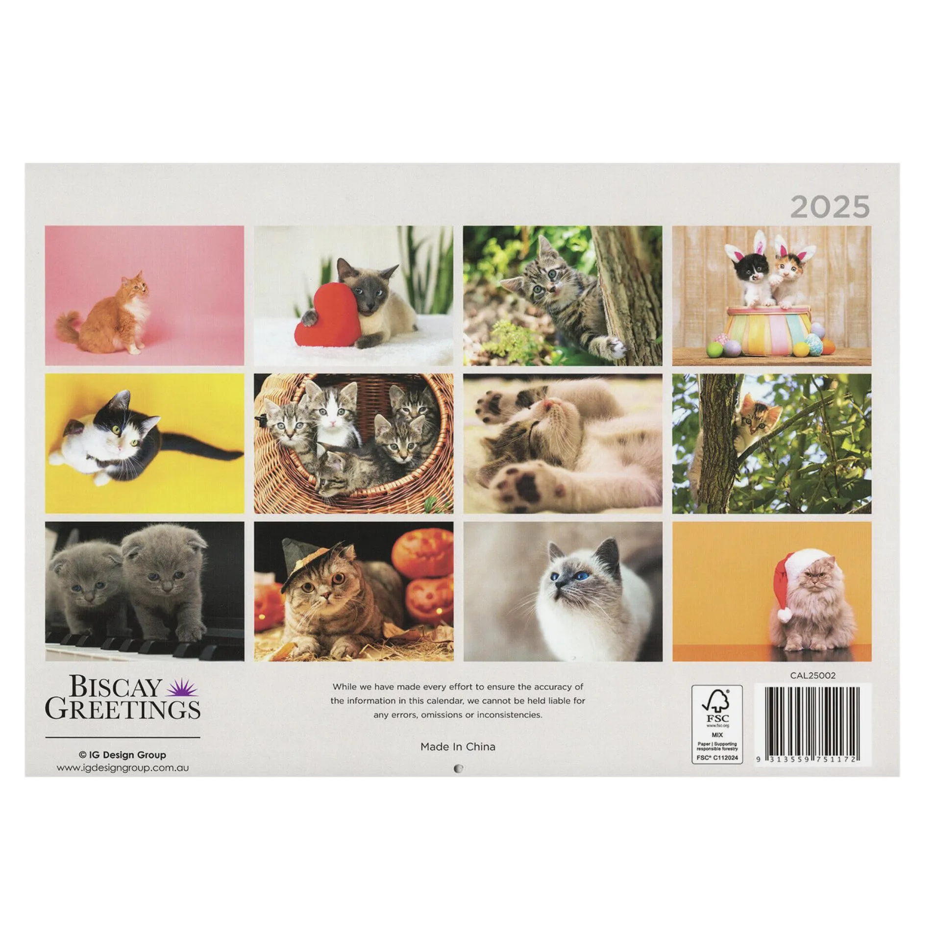 2025 Wall Calendar
