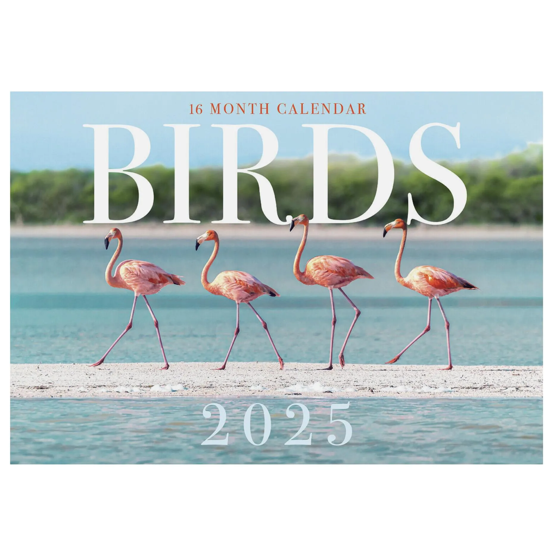 2025 Wall Calendar