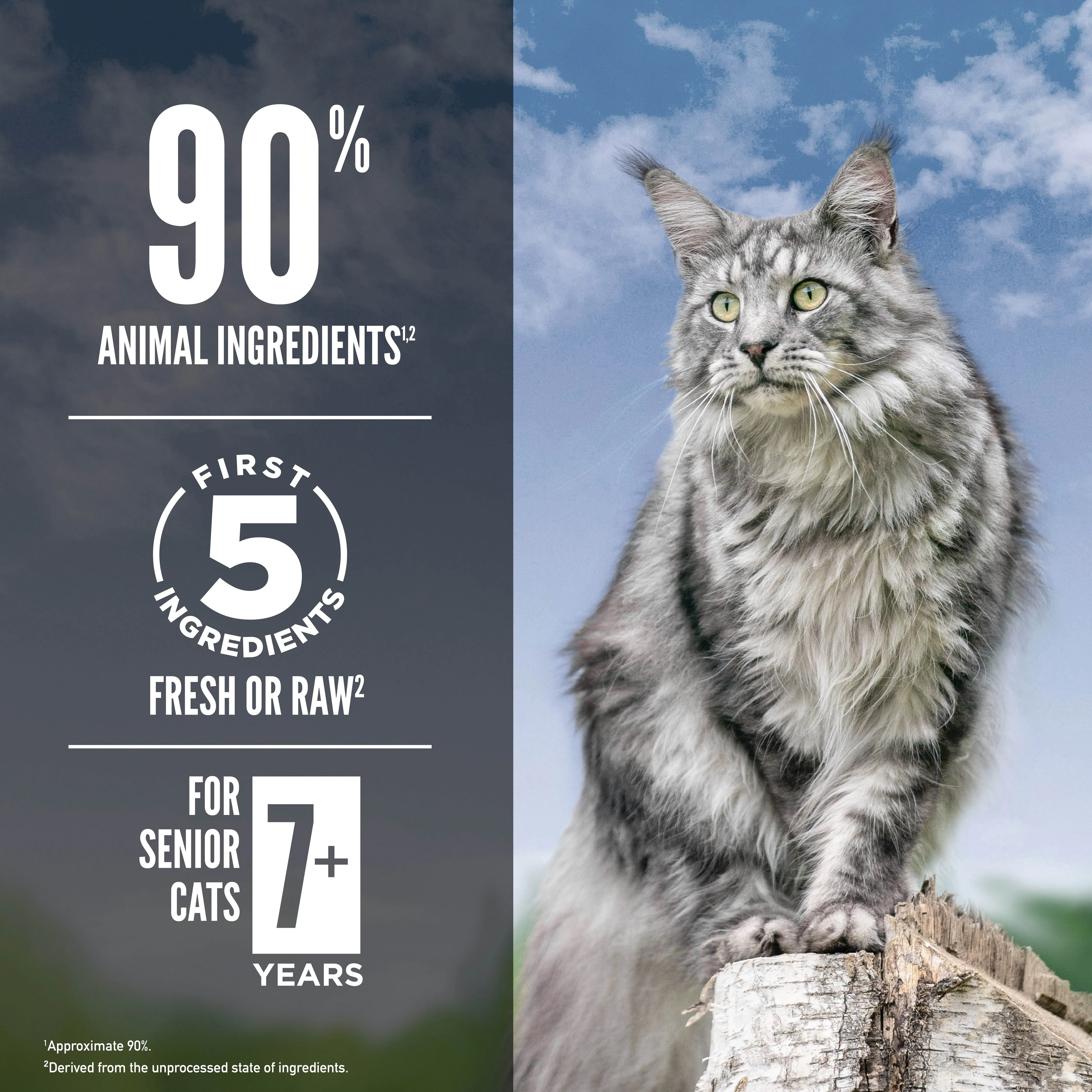 ORIJEN Guardian Senior Biologically Appropriate Dry Cat Food 1.8kg^^^