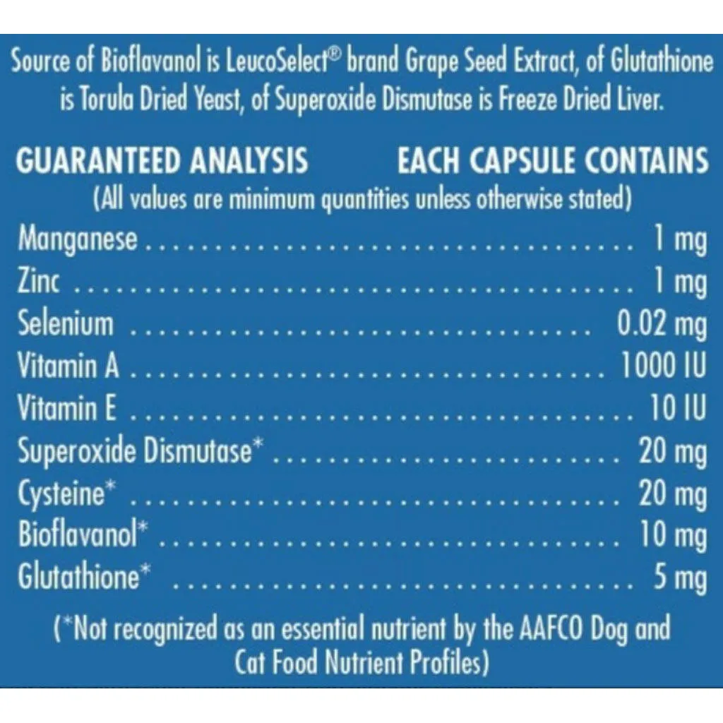 Proanthozone 10 Nutrient & Antioxidant Supplement for Cats & Small Dogs 60 capsules